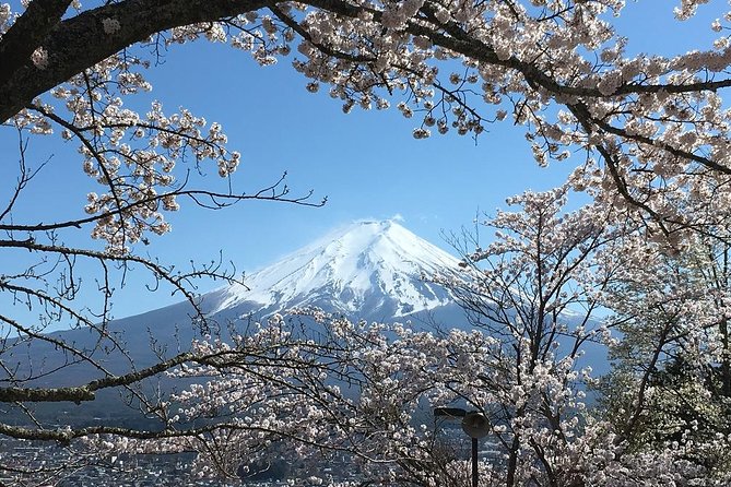 Private Car Tour to Mt. Fuji Lake Kawaguchiko or Hakone - Ropeway views, music, art, and sake