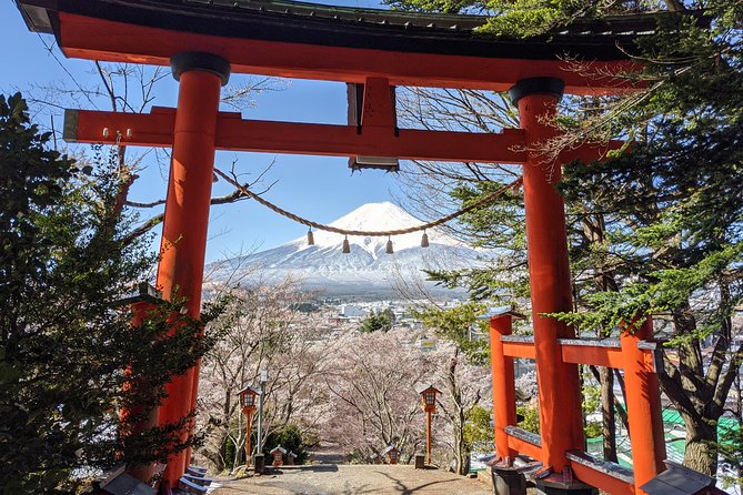 Private Car Tour to Mt. Fuji Lake Kawaguchiko or Hakone - Oshino Hakkai and the old village feel