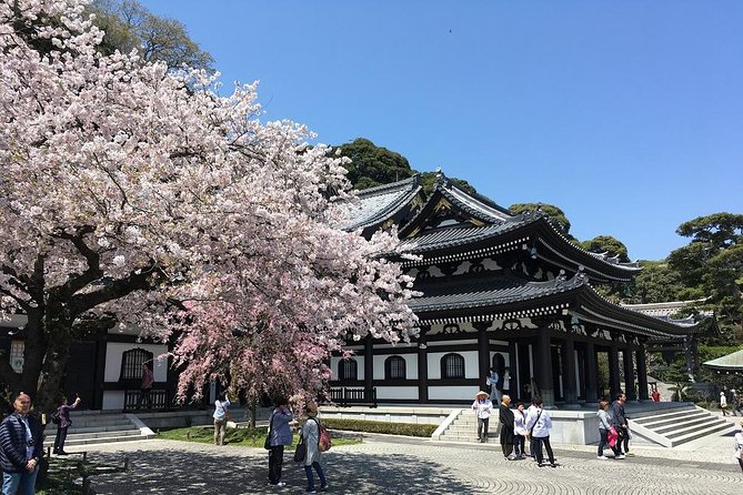 Private Car Tour to see Highlights of Kamakura, Enoshima, Yokohama from Tokyo - The anime crossing and a turn toward Enoshima