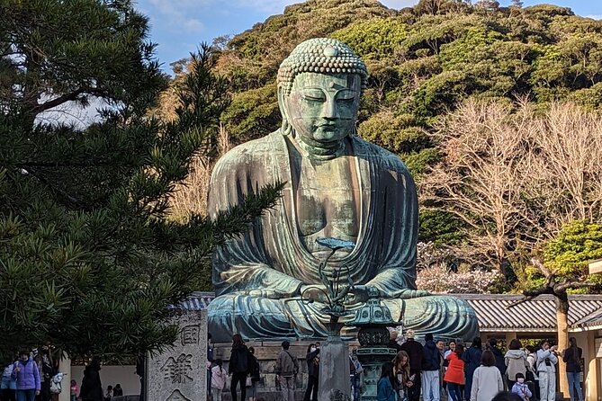 Private Car Tour to see Highlights of Kamakura, Enoshima, Yokohama from Tokyo - Bamboo, flowers, and quiet temple corners