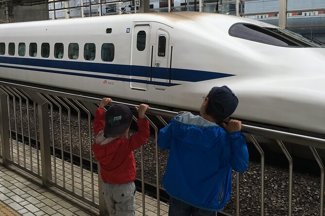 Private Car transfer from Narita airport to Tokyo - Price, group size, and overall value