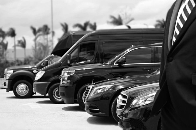 Private chauffeur and minivan for your tours or business needs. - Key points to know before booking