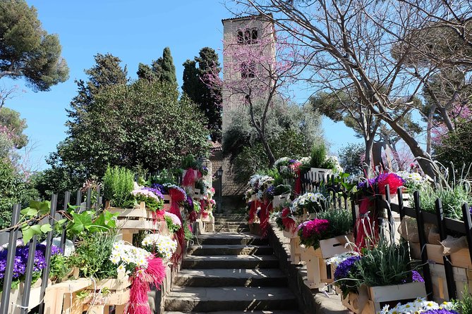 Private Customized Barcelona Tour by Mercedes VIP Bus and Personal Expert Guide - Walking the Gothic Quarter for 30 Minutes