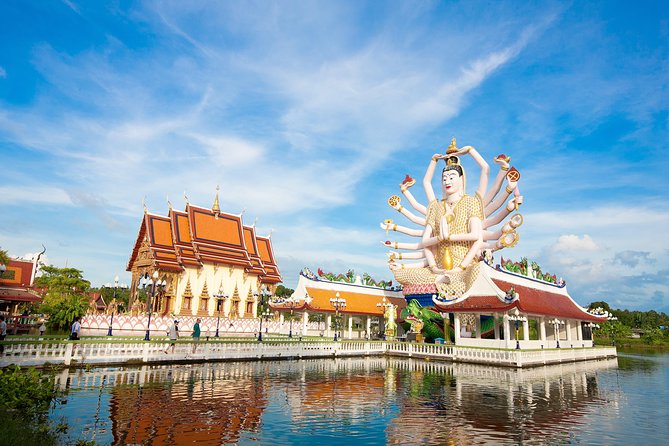 Private Customized Tour with Driver in Koh Samui - Key points to know before booking