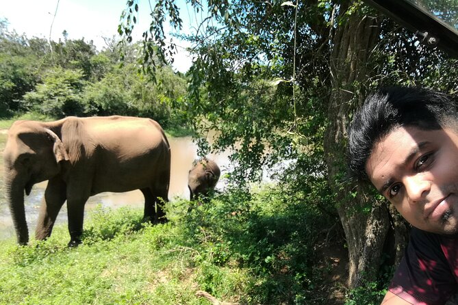 Private Dambulla Sigiriya Tour from Kandy with friendly chauffeur - What the chauffeur-guide adds
