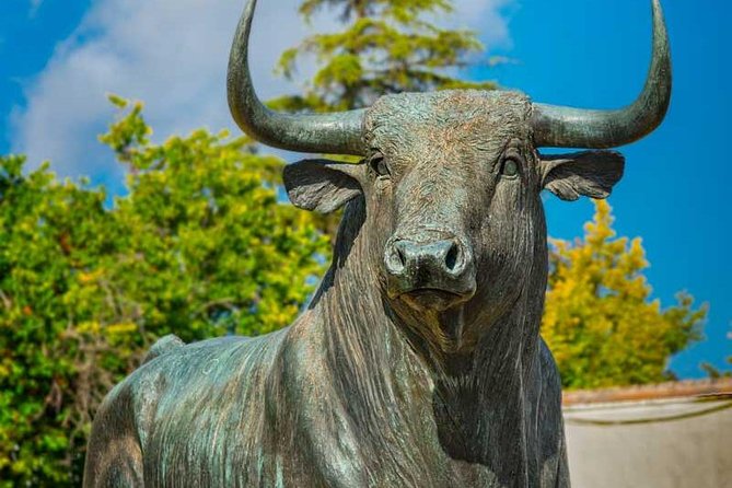 Private Day Trip to Ronda from Malaga with Driver-Guide - Inside the Plaza de Toros de Ronda