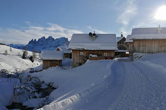 Private Dolomites Day Trip from Venice by Mercedes Class e Lux - A comfortable Mercedes makes the road time count