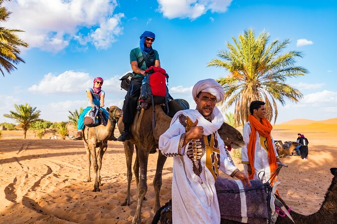 Private Driver for a full day in Marrakech - A practical way to plan your eight hours