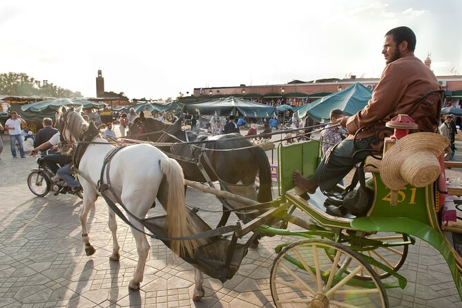 Private Driver for a full day in Marrakech - Planning a medina day without taxi trouble