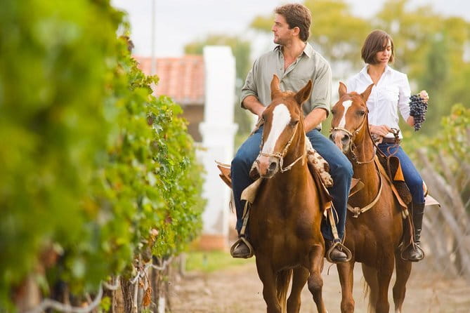 Private driver from Florence: Siena, San Gimignano, Pisa 12 hours - The real cost for a group of three
