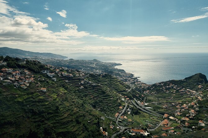 Private Half day tour (8 seat Mercedes Vito) - Guides, flexibility, and the human touch