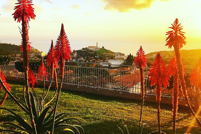 Private Half day tour around Madeira Island - What the guide adds