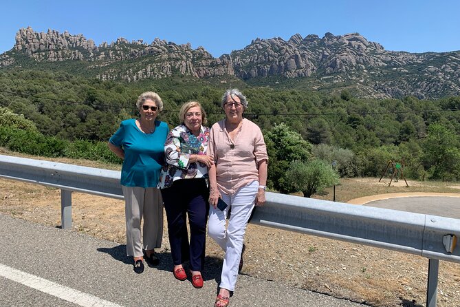 Private Half Day Tour in Monserrat with Driver - What the private driver does well