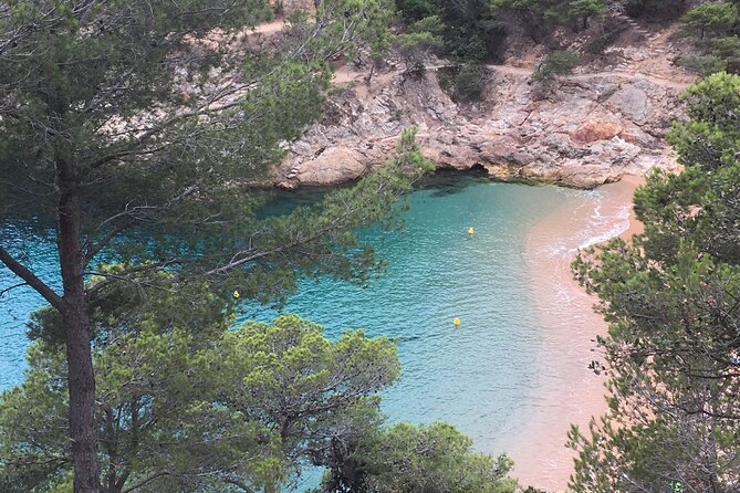 Private Half Day Tour in Monserrat with Driver - Santa Cecilia offers a quieter side of Montserrat