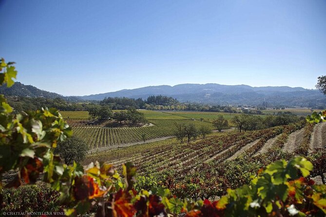 Private Limo Wine Tours in Sonoma and Napa Valley - San Francisco as a different kind of private tour