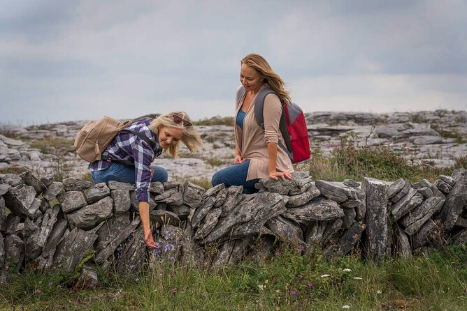 Private Limousine hire Cliffs of Moher Day Tour - The Burren National Park in four minutes
