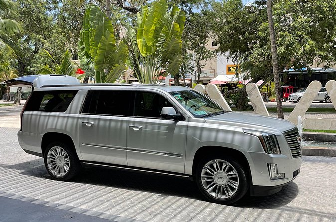 Private Luxury Transfer from Airport to Playa del Carmen - Who Will Like This Airport Transfer