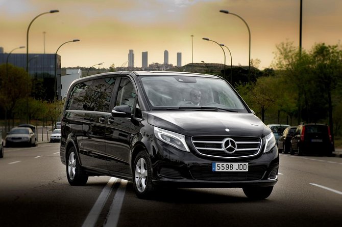 Private Luxury Van Departure from Copenhagen to Copenhagen Port - The hotel pickup and meet-and-greet