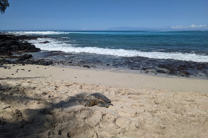 Private Luxury Van with Driver to Big Island Destinations of Your Choice - Who will get the most from this experience