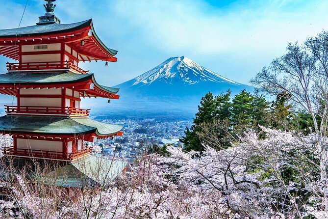 Private Mount Fuji Tour in Luxury Vehicle with English Guide - Why a private Mount Fuji day works from Tokyo