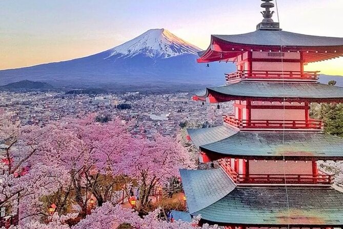 Private Mount Fuji Tour in Luxury Vehicle with English Guide - Lake Kawaguchiko and Oishi Park
