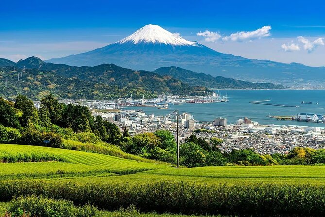 Private Mount Fuji Tour in Luxury Vehicle with English Guide - Arakurayama Sengen Park and the Chureito Pagoda view
