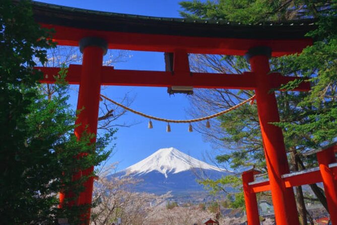 Private Mount Fuji Tour in Luxury Vehicle with English Guide - Kitaguchi Hongu Fuji Sengen Shrine
