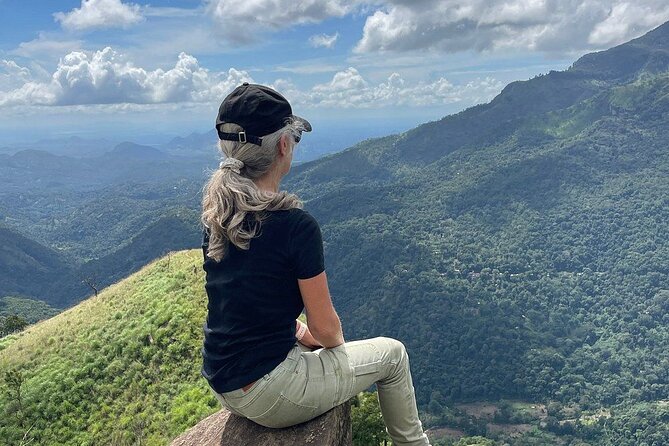 Private Multi Day Sri Lanka Tour with Chauffeur - Day four: Ella’s bridge, hill walks, and Ceylon tea
