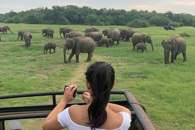 Private Multi Day Sri Lanka Tour with Chauffeur - Day two: Pidurangala, Sigiriya, village life, and elephants