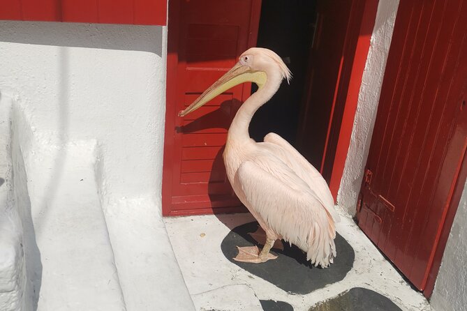 Private Mykonos Tour with Luxury car - Nammos and the modern Mykonos