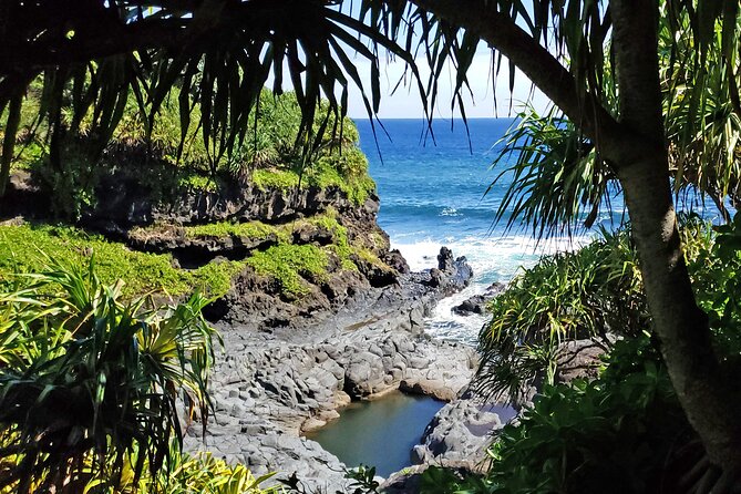 Private Road to Hana or any Maui destination in Luxury Mercedes Sprinter - Who will enjoy this most?