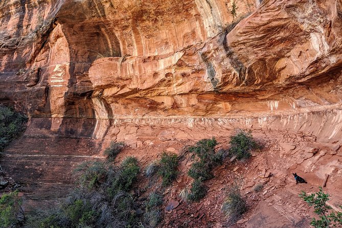 PRIVATE Sedona Scenic Half-Day - just you and your guide - Your guide is the main reason to book