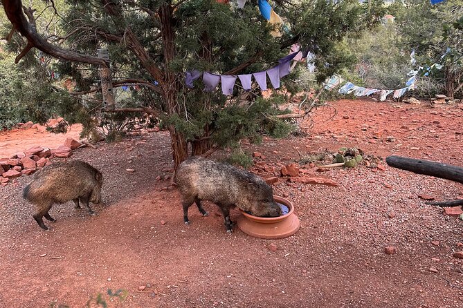 Private Sedona Tour in a Luxury SUV and Local Guide - Two hours in Jerome, Arizona