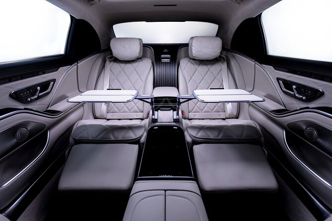 Private sightseeing tour with a luxury sedan - Mercedes-Maybach - Hamburg Town Hall and the city’s political center