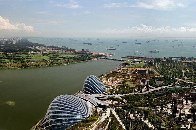 Private Singapore Customized Tour With Driver in small group - The driver makes or breaks the experience