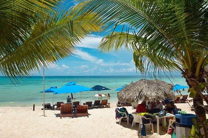 Private Tour: 5-Hour Cozumel Sightseeing with Private Driver and Tequila Tasting - Palancar Beach for the final hour