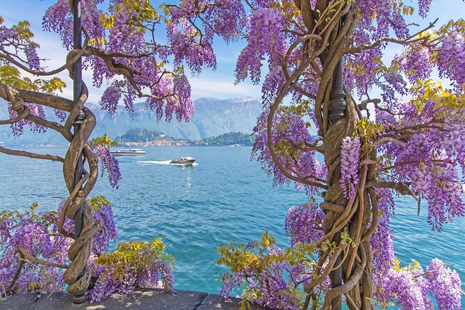 Private Tour: Lake Como From Milan with Private Driver and Boat - The Optional One-Hour Private Boat