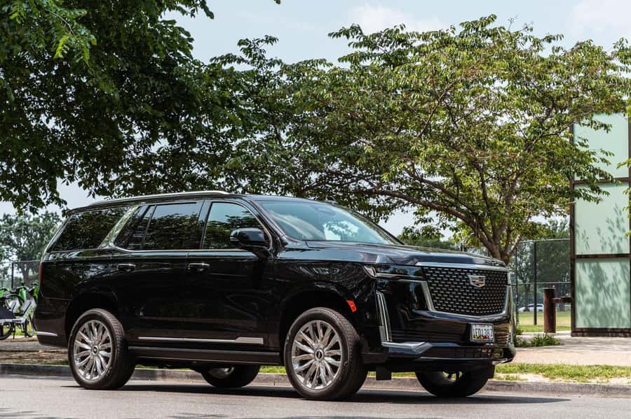 PRIVATE TOUR Washington DC: Private Tour with Luxury SUV 6h - Six hours to get your bearings in Washington