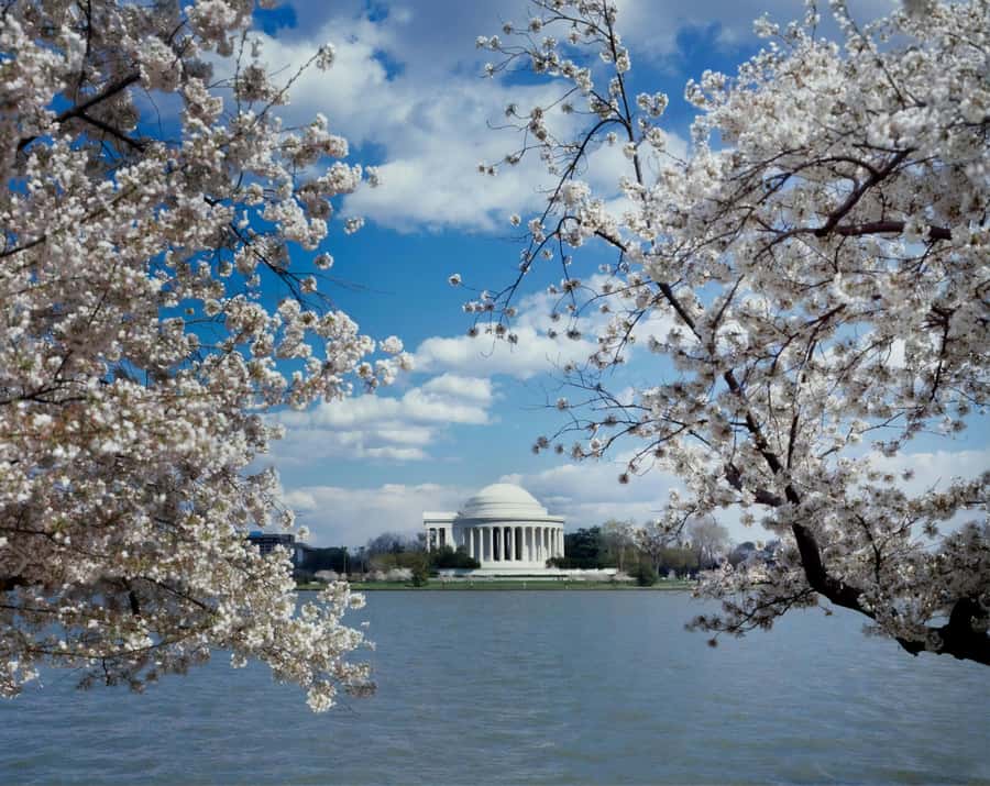 PRIVATE TOUR Washington DC: Private Tour with Luxury SUV 6h - Capitol Hill and the Supreme Court