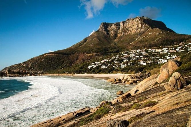 Private Transfer: CPT Airport to Cape Town in Luxury Van - The vehicle, seating, and comfort