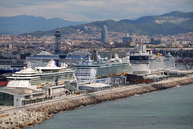 Private Transfer: Cruise Port to Barcelona by Luxury Van - Choosing the right vehicle for cruise luggage