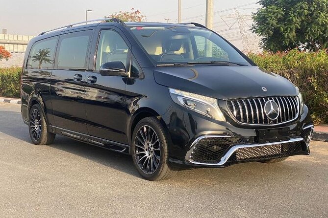 Private Transfer Malaga airport AGP to Malaga City by Luxury Van - Who will get the most from this transfer?