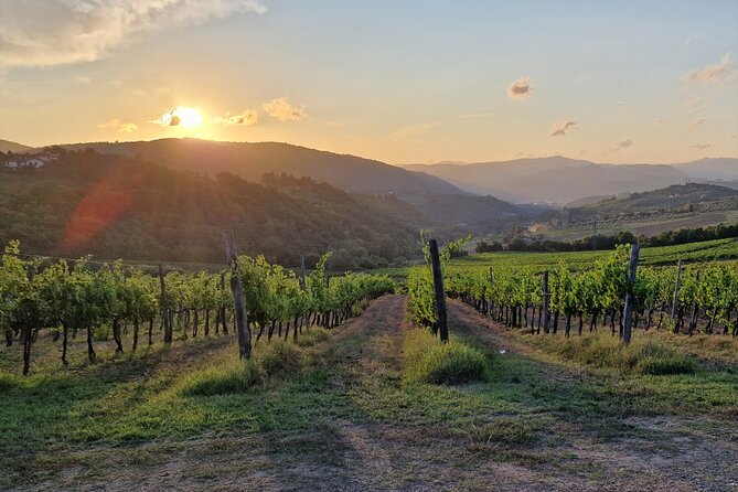 Private Wine Tour best of Chianti Tuscany 6 hours Limo Service - The real value of the $806.68 group price