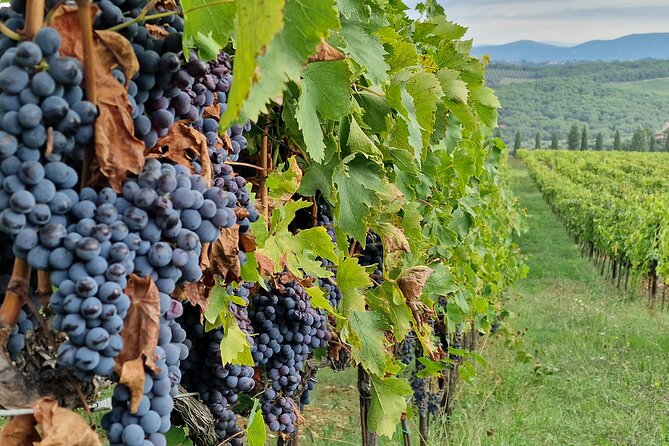 Private Wine Tour best of Chianti Tuscany 6 hours Limo Service - How the timing fits together