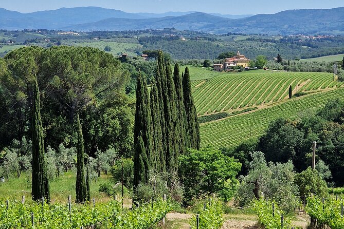 Private Wine Tour best of Chianti Tuscany 6 hours Limo Service - What the private format changes