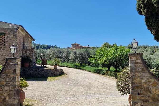 Private Wine Tour best of Chianti Tuscany 6 hours Limo Service - Who will get the most from this outing