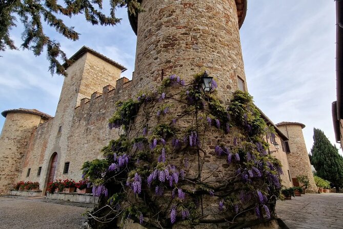 Private Wine Tour best of Chianti Tuscany 6 hours Limo Service - Practical details before you book