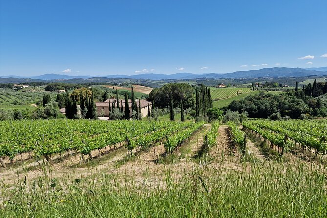 Private Wine Tour best of Chianti Tuscany 6 hours Limo Service - Antinori nel Chianti Classico in 30 minutes