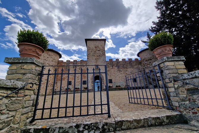 Private Wine Tour Top Wineries, Limousine Service, Florence Tours - A short look at Greve in Chianti