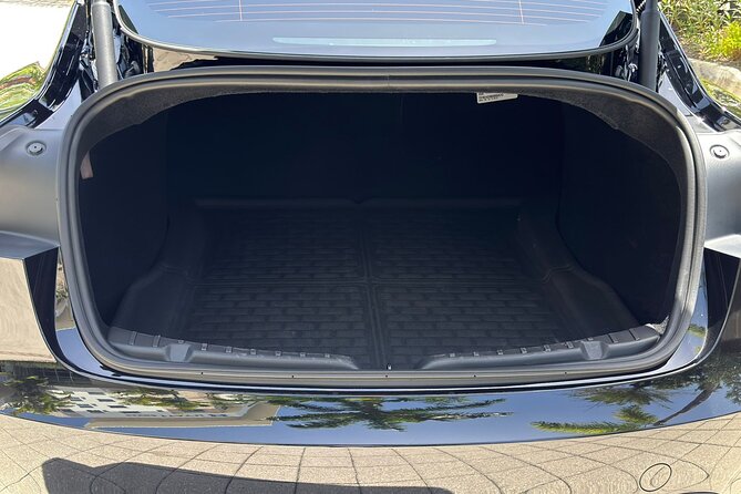 Puerto Rico Island Wide Private Transfers, Tesla 3 Luxury Sedan. - Meeting your chauffeur at the airport